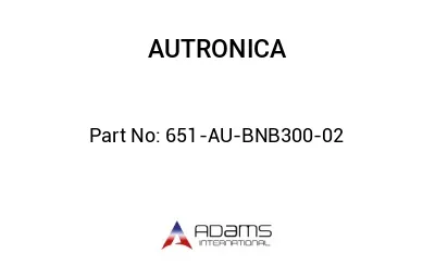 651-AU-BNB300-02