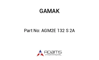 AGM2E 132 S 2A