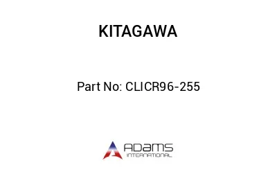 CLICR96-255