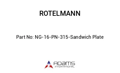 NG-16-PN-315-Sandwich Plate