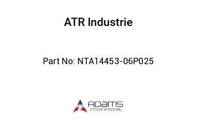 NTA14453-06P025