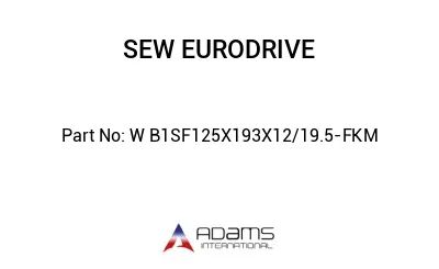 W B1SF125X193X12/19.5-FKM
