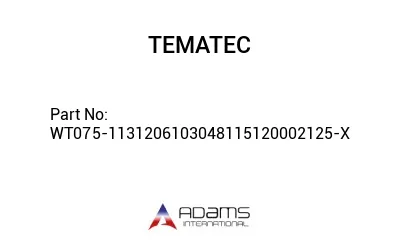 WT075-1131206103048115120002125-X