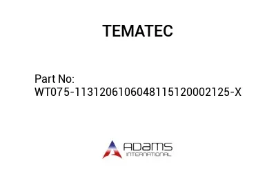 WT075-1131206106048115120002125-X